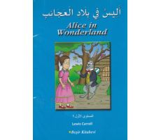 Arapça Hikaye Kitapları 1. Seviye 5 Kitap - Beşir Kitabevi