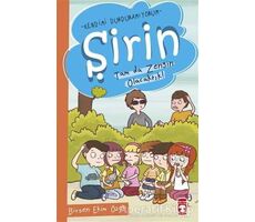 Şirin - Tam da Zengin Olacaktık! - Birsen Ekim Özen - Timaş Çocuk