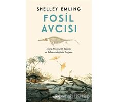 Fosil Avcısı - Shelley Emling - Alfa Yayınları