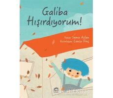 Galiba Hışırdıyorum! - Sema Aslan - İletişim Yayınevi