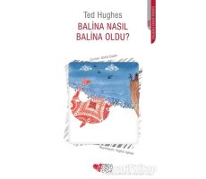 Balina Nasıl Balina Oldu? - Ted Hughes - Can Çocuk Yayınları