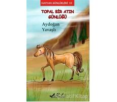 Topal Bir Atın Günlüğü - Aydoğan Yavaşlı - Bulut Yayınları
