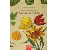 Dünyamızı Biçimlendiren Olağanüstü Bitkiler - William Bynum - Oğlak Yayıncılık