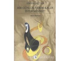 Bir Günlük Yerim Kaldı İster Misiniz? - Engin Geçtan - Metis Yayınları