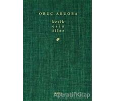 Kesik Esin/ tiler - Oruç Aruoba - Metis Yayınları
