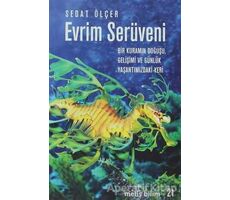 Evrim Serüveni - Sedat Ölçer - Metis Yayınları