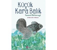 Küçük Kara Balık - Samed Behrengi - Çınar Yayınları