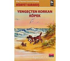 Yengeçten Korkan Köpek - Hidayet Karakuş - Bilgi Yayınevi