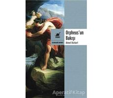 Orpheusun Bakışı - Ahmet Bozkurt - Ayrıntı Yayınları