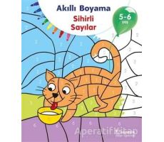 Akıllı Boyama - Sihirli Sayılar - Kolektif - Uçanbalık Yayıncılık