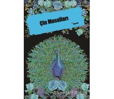 Çin Masalları - Kolektif - Dipnot Yayınları
