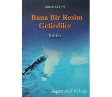 Bana Bir Resim Getirdiler - Şükrü Elçin - Akçağ Yayınları