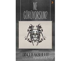 Ne Görüyorsun? - Dinçer Akbulut - Cinius Yayınları