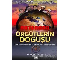 Örgütlerin Doğuşu - Furkan Özsarı - Çınaraltı Yayınları