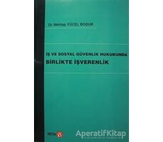 İş ve Sosyal Güvenlik Hukukunda Birlikte İşverenlik - Mehtap Yücel Bodur - Beta Yayınevi