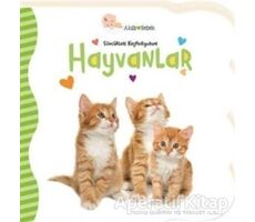 Hayvanlar - Sözcükleri Keşfediyorum - Gökçe Demir - Beta Kids