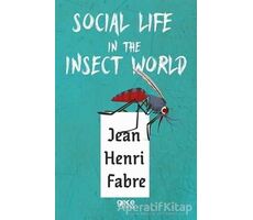 Social Life in The Insect World - Jean Henri Fabre - Gece Kitaplığı