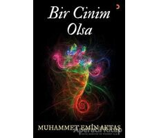 Bir Cinim Olsa - Muhammet Emin Aktaş - Cinius Yayınları