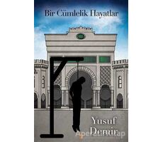 Bir Cümlelik Hayatlar - Yusuf Demir - Cinius Yayınları