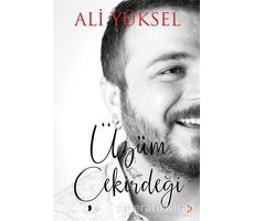 Üzüm Çekirdeği - Ali Yüksel - Cinius Yayınları