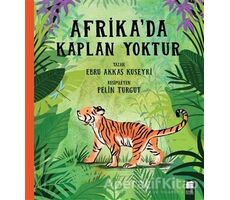 Afrikada Kaplan Yoktur - Ebru Akkaş Kuseyri - Final Kültür Sanat Yayınları