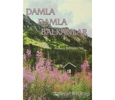 Damla Damla Balkanlar - Firdevs Büyükateş - Can Yayınları (Ali Adil Atalay)