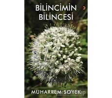 Bilincimin Bilincesi - Muharrem Soyek - Cinius Yayınları