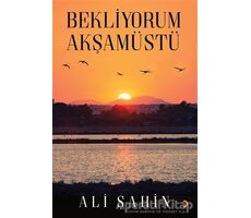 Bekliyorum Akşamüstü - Ali Şahin - Cinius Yayınları