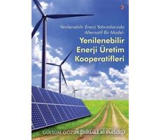 Yenilebilir Enerji Üretim Kooperatifleri - Gülsüm Gözde Durmaz Ayanoğlu - Cinius Yayınları