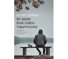 Bir Şeyler Eksik Galiba Yaşamımızda - İsmail Özabacı - Cinius Yayınları