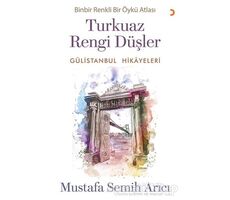 Turkuaz Rengi Düşler - Gülistanbul Hikayeleri - Mustafa Semih Arıcı - Cinius Yayınları