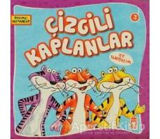 Çizgili Kaplanlar ile Tanışalım - Kolektif - Timaş Çocuk