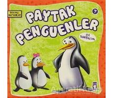 Paytak Penguenler ile Tanışalım - Kolektif - Timaş Çocuk