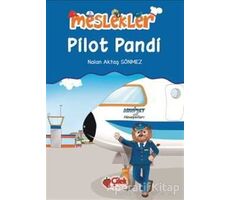 Pilot Pandi - Nalan Aktaş Sönmez - Çilek Kitaplar