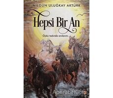 Hepsi Bir An - Nilgün Uluğkay Aktürk - Cinius Yayınları