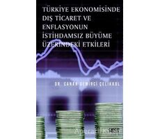 Türkiye Ekonomisinde Dış Ticaret ve Enflasyonun İstihdamsız Büyüme Üzerindeki Etkileri