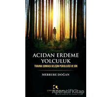 Acıdan Erdeme Yolculuk - Mebrure Doğan - Çamlıca Yayınları