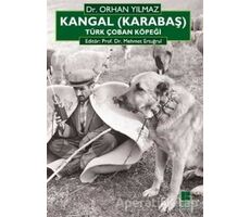 Kangal (Karabaş) Türk Çoban Köpeği - Orhan Yılmaz - Bilge Kültür Sanat