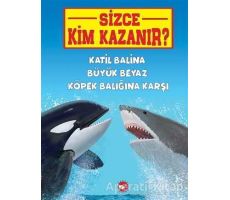 Katil Balina Büyük Beyaz Köpek Balığına Karşı - Sizce Kim Kazanır?