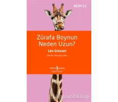 Zürafa Boynun Neden Uzun? - Leo Grasset - İş Bankası Kültür Yayınları