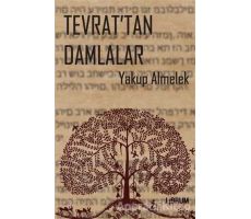 Tevrat’tan Damlalar - Yakup Almelek - Librum Kitap