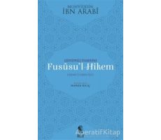 Günümüz İnsanına Fususu’l-Hikem - Muhyiddin İbn Arabi - İnsan Yayınları