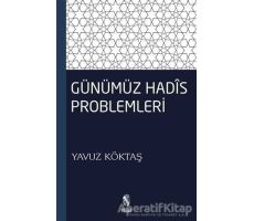 Günümüz Hadis Problemleri - Yavuz Köktaş - İnsan Yayınları