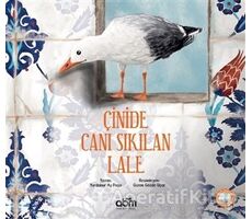 Çinide Canı Sıkılan Lale - Yurdanur Ay Paşa - Abm Yayınevi