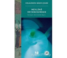 Mevlana Okyanusundan - Celaleddin Bakır Çelebi - Nefes Yayıncılık