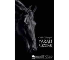 Yaralı Rüzgar - Ceren Gündoğan - Eksik Parça Yayınları