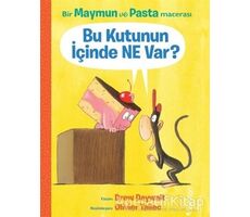 Bu Kutunun İçinde Ne Var? - Drew Daywalt - Domingo Yayınevi