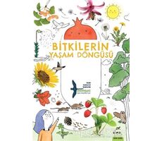 Bitkilerin Yaşam Döngüsü - Takımyıldız - Elma Çocuk