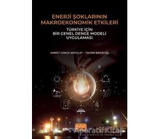 Enerji Şoklarının Makroekonomik Etkileri: Türkiye İçin Bir Genel Denge Modeli Uygulaması