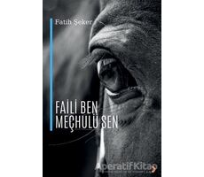 Faili Ben Meçhulü Sen - Fatih Şeker - Cinius Yayınları